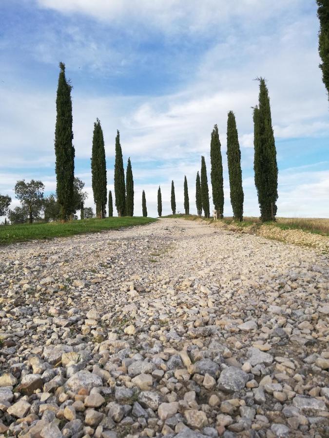Podere Sant'Antonio Buonconvento Eksteriør billede