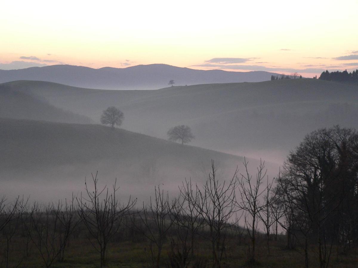 Podere Sant'Antonio Buonconvento Eksteriør billede