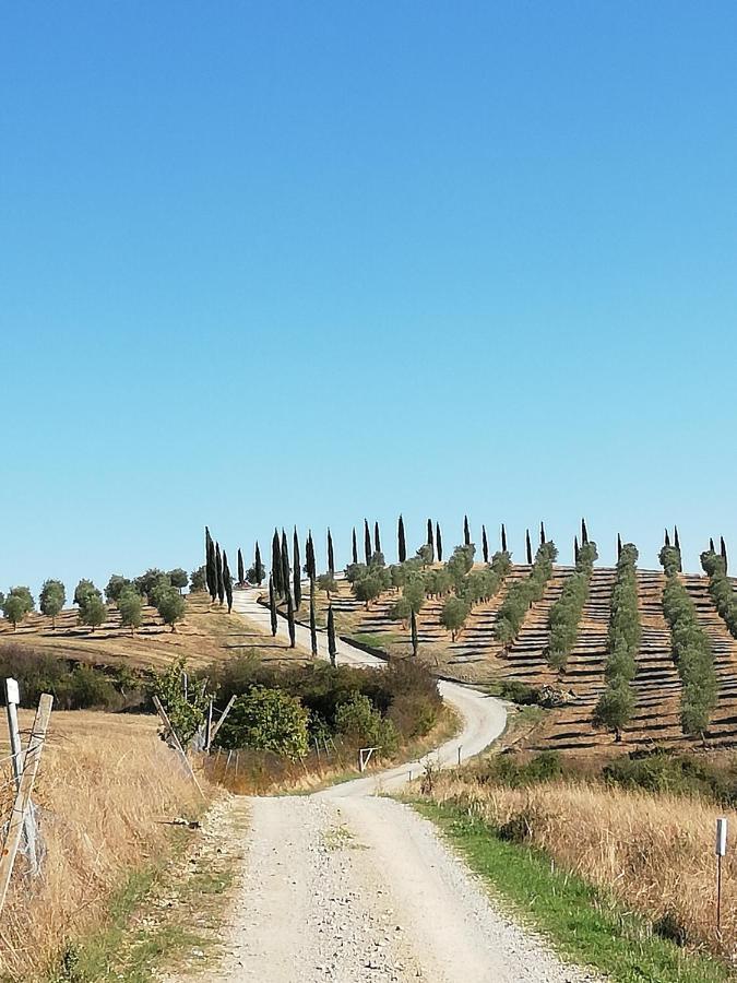 Podere Sant'Antonio Buonconvento Eksteriør billede