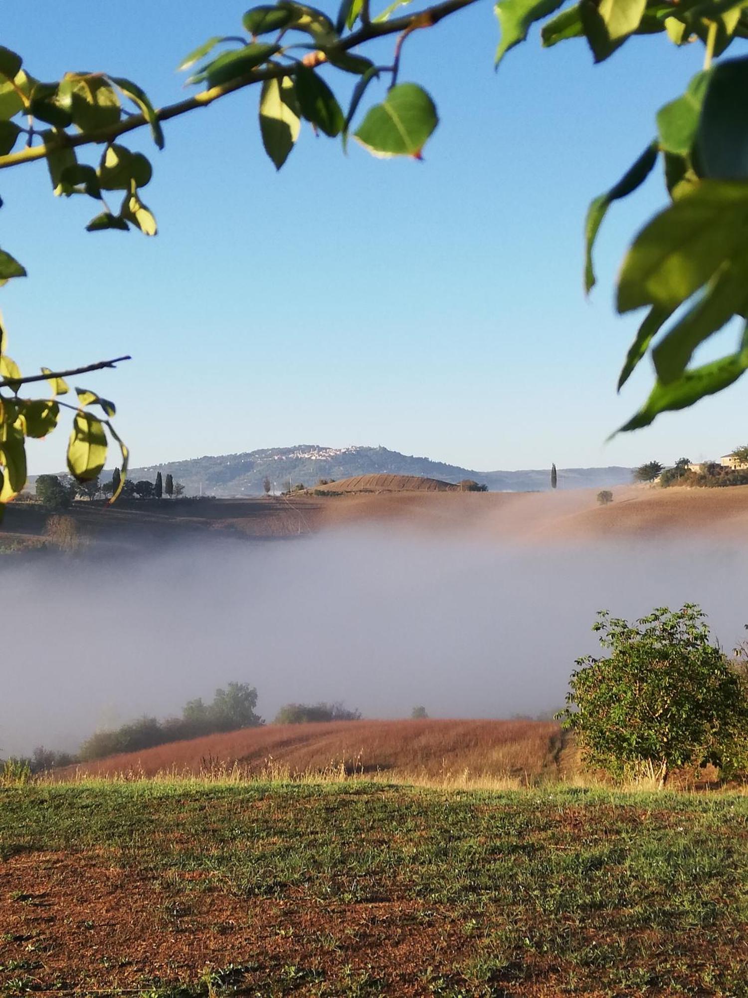 Podere Sant'Antonio Buonconvento Eksteriør billede